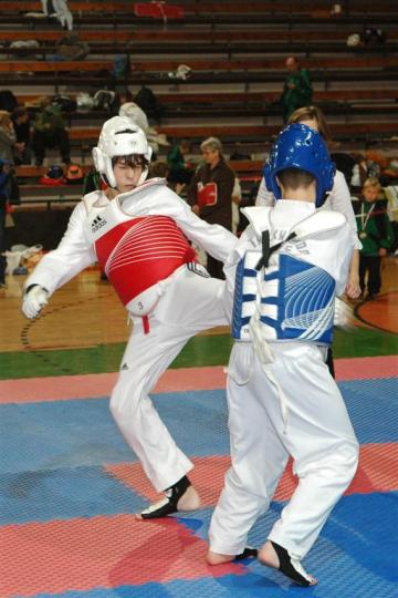 Dominik Šebesta