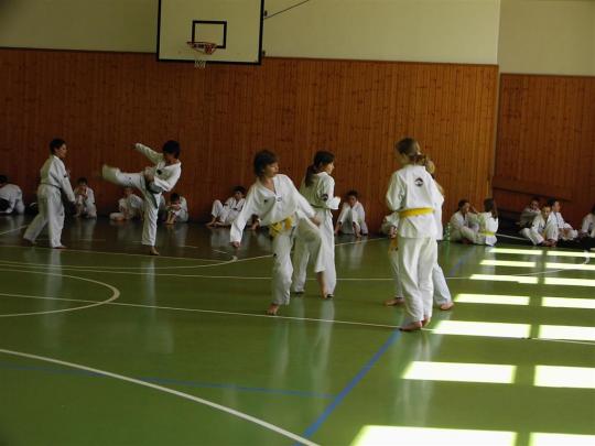 Krokovky