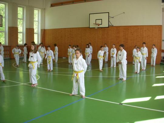 Nástup