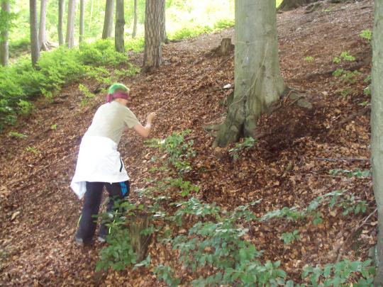 Fotografie