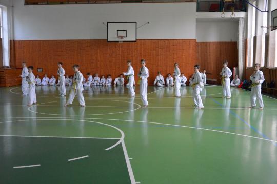 Fotografie