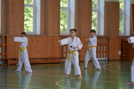 Fotografie