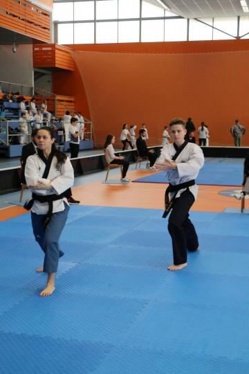 Fotografie