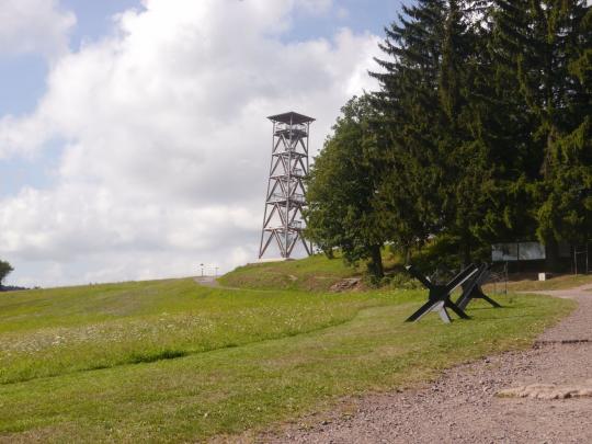 Fotografie
